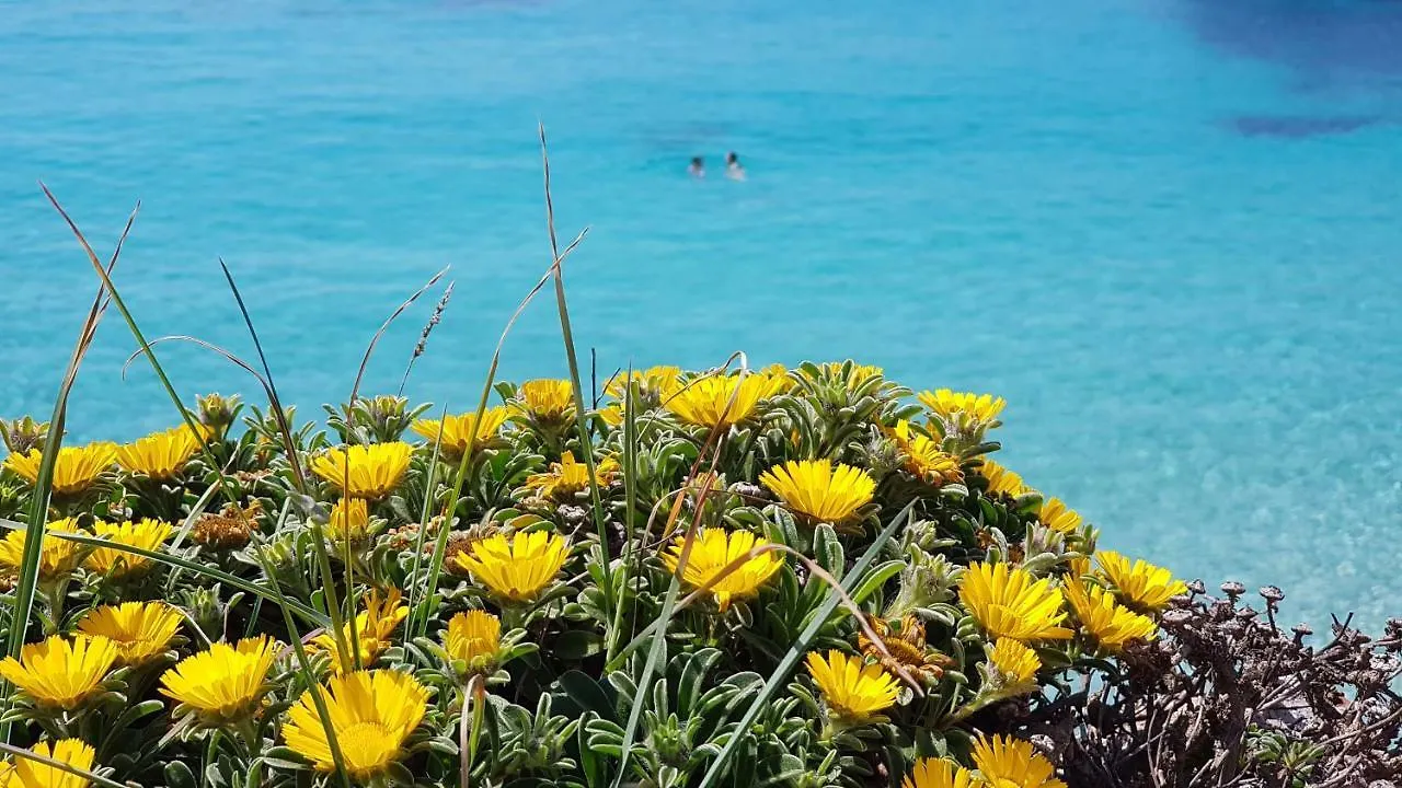 Cala Morlanda Villa S'Illot  Holiday home